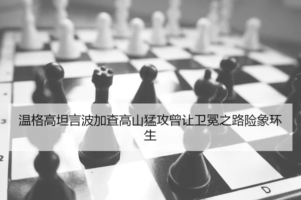 wen-ge-gao-tan-yan-bo-jia-cha-gao-shan-meng-gong-ceng-rang-wei-mian-zhi-lu-xian-xiang-huan-sheng-2-880.jpg